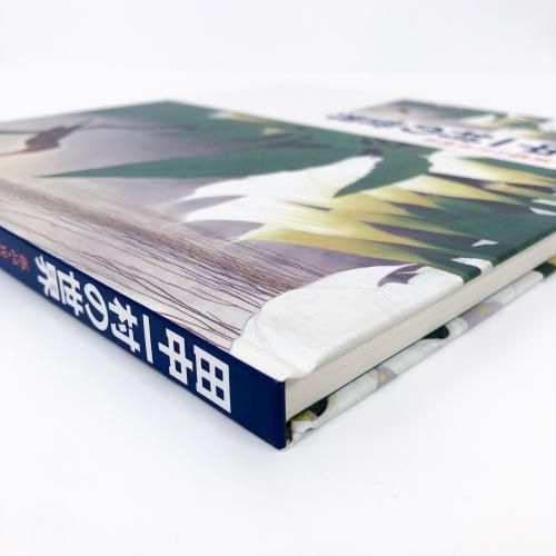図録 田中一村の世界 孤高・異端の日本画家 - ノースブックセンター