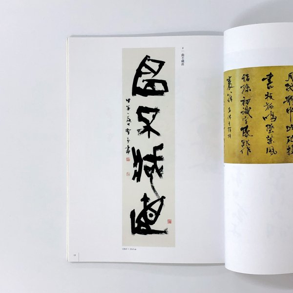 図録 高木聖雨書展 - ノースブックセンター