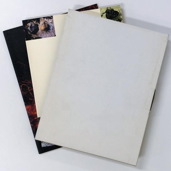 鯉江良二展 地-人 図録 サイン入り　2冊セット 図録 | 箱入り2冊 | 鯉江良二展《地人》 - ノースブックセンター