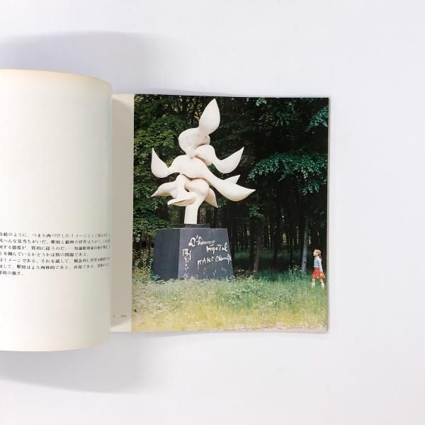 岡本太郎の世界 | 岡本 敏子, 齋藤 愼爾 |本 | 通販 | Amazon