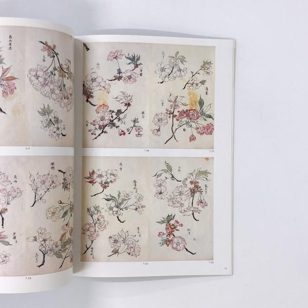 柴田是真 下絵・写生集 東京芸術大学大学美術館所蔵 二重箱で保管 柴田是真 下絵・写生集 東京芸術大学大学美術館所蔵(横溝廣子
