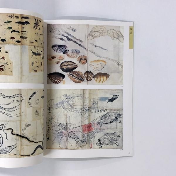 柴田是真 下絵・写生集 東京芸術大学大学美術館所蔵 二重箱で保管 柴田是真下絵・写生集 : 東京芸術大学大学美術館所蔵(柴田是真
