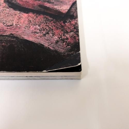 図録 ほとばしる生命・画業50年 須田剋太展 - ノースブックセンター