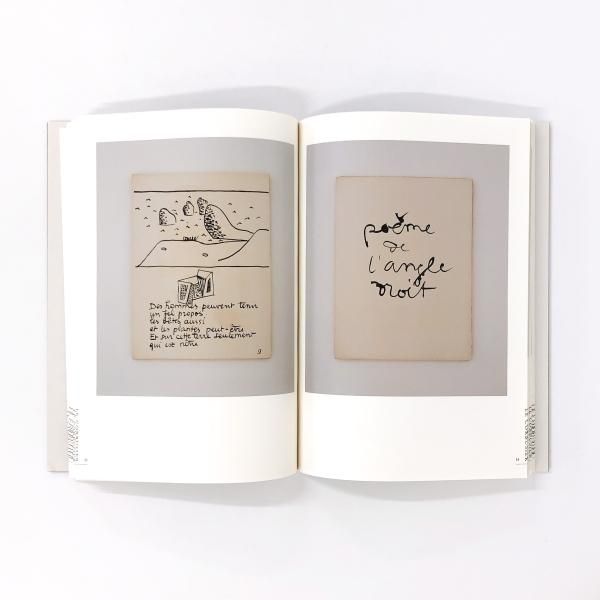 CROSSING | THE | PARALLEL | ル | コルビュジエ | 森コレクション