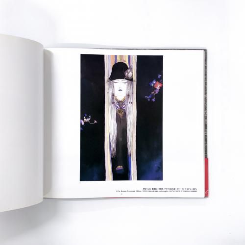 天野喜孝画集 幻想曲 a fantasia - ノースブックセンター 天野喜孝画集 幻想曲 a fantasia - ノースブックセンター