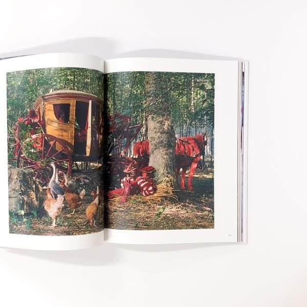 昔々あるところに | ロバと王女 - ノースブックセンター