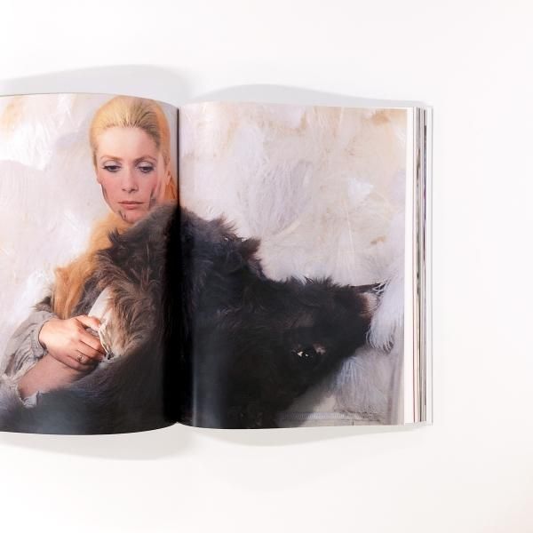 昔々あるところに | ロバと王女 - ノースブックセンター