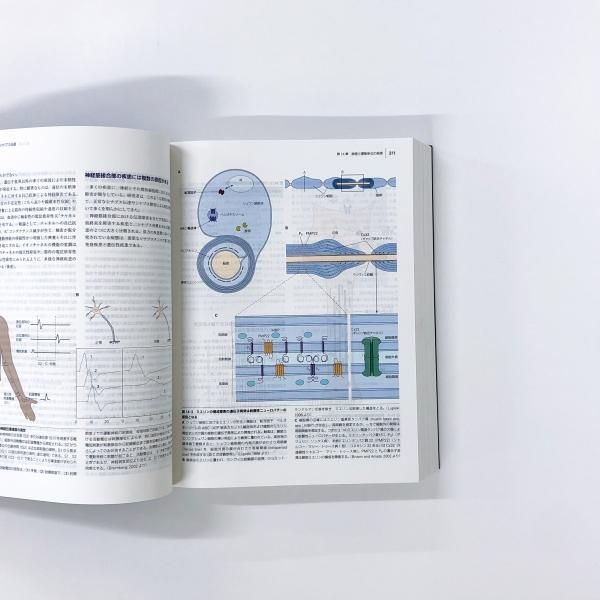 カンデル神経科学金澤_一郎 - jkc78.com