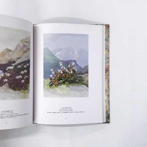 図録 | 五百城文哉展 | 咲き競う百花百草 - ノースブックセンター