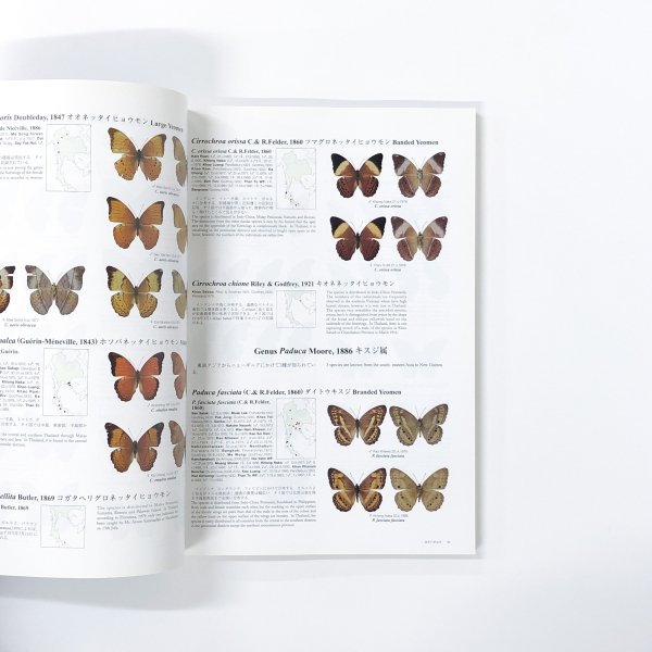 The Butterflies of thailand タイ国の蝶 Vol3 - 古本買取・通販