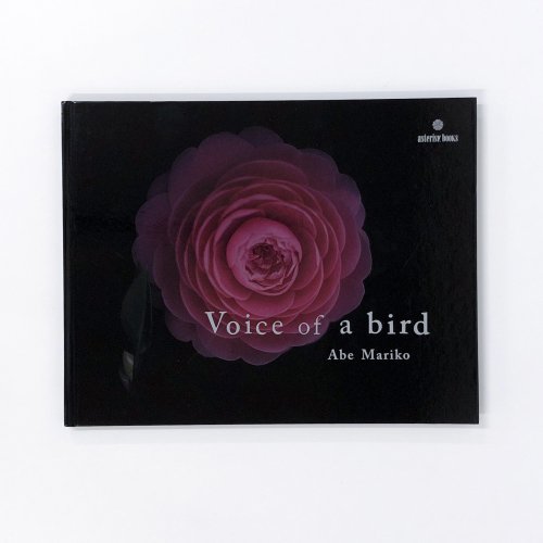 Voice of a bird Abe Mariko