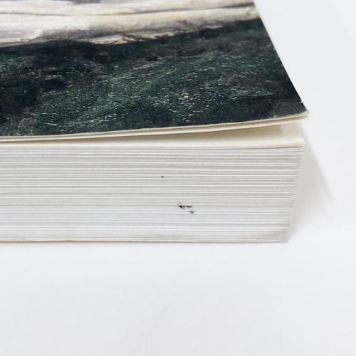 図録 | 山本芳翠の世界展 - ノースブックセンター