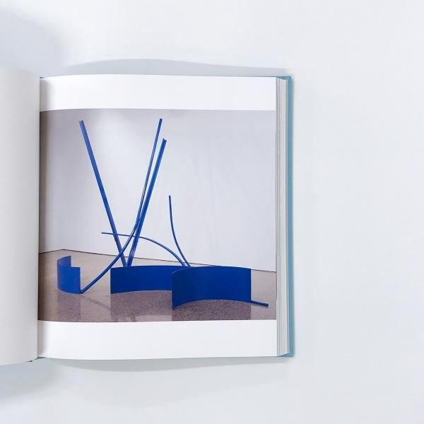 図録 | カラーフィールド | 色の海を泳ぐ - ノースブックセンター