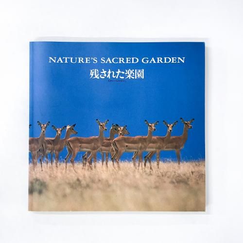 ��Ͽ �Ĥ��줿�ڱࡡ�ͥ����㡼�ե��ȥ���ե���