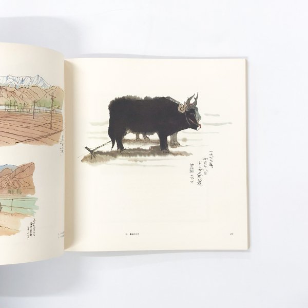 図録 平山郁夫 チベット素描展 - 古本買取・通販 ノースブックセンター 