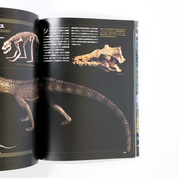 図録 地球最古の恐竜展 - 古本買取・通販 ノースブックセンター|専門書 