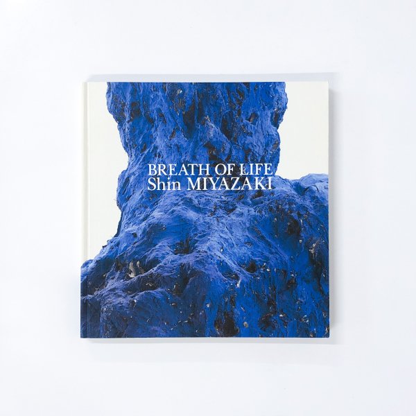 図録 立ちのぼる生命 宮崎進展 BREATH OF LIFE：Shin MIYAZAKI - 古本買取・通販 ノースブックセンター|専門書買取いたします