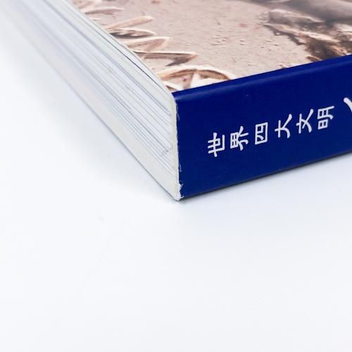 図録 | 世界四大文明 | インダス文明展 - ノースブックセンター