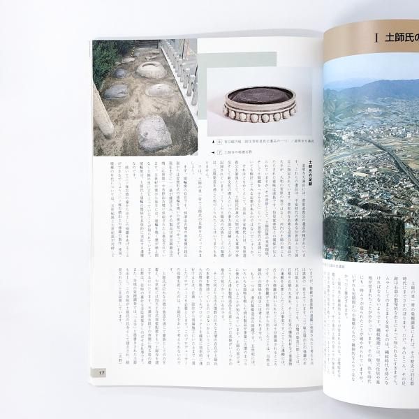 図録 倭の五王(讃、珍、済、興、武)の時代 巨大な古墳は、国内