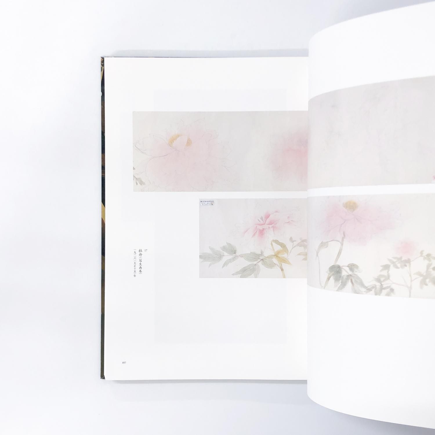 図録 | 新美術館開館記念特別展 | 速水御舟 | 日本画への挑戦 - ノース