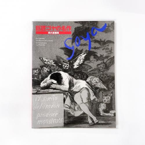 �𾢥����̾������ǲ轸