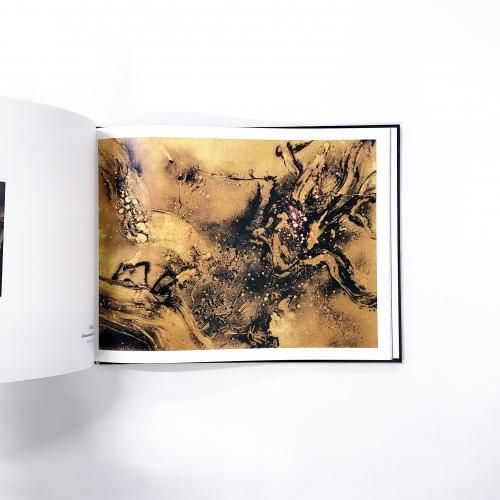 TAKEHIKO | SUGAWARA | 菅原健彦 - ノースブックセンター