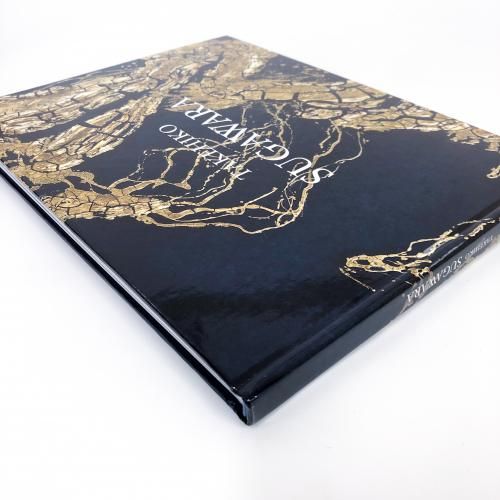 菅原健彦　pupu springs 菅原 健彦 | Artists | Gallery Sakuranoki