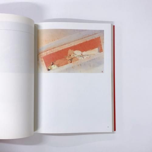 図録 | 日本近代美術の潮流 | 東京国立近代美術館名品展 - ノース