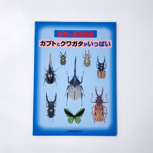 世界の昆虫図鑑 カブトとクワガタがいっぱい - 古本買取・通販 ノース 