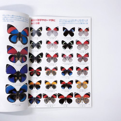 世界の昆虫図鑑 カブトとクワガタがいっぱい - 古本買取・通販 ノース 