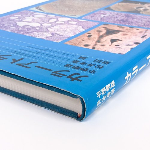 カラーアトラス　神経病理 - 古本買取・通販 ノースブックセンター|専門書買取いたします