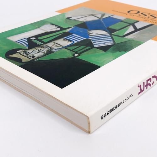 図録 | 彫刻の森美術館コレクション | ピカソ | Picasso - ノース