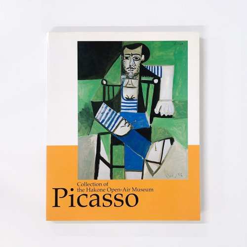 Ͽ ĦοѴۥ쥯󡡥ԥPicasso