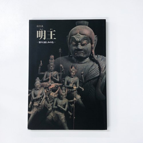 図録 特別展 明王 怒りと慈しみの仏 奈良国立博物館