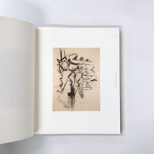 図録 抽象表現主義展 アメリカ現代絵画の黄金期 - 古本買取・通販 