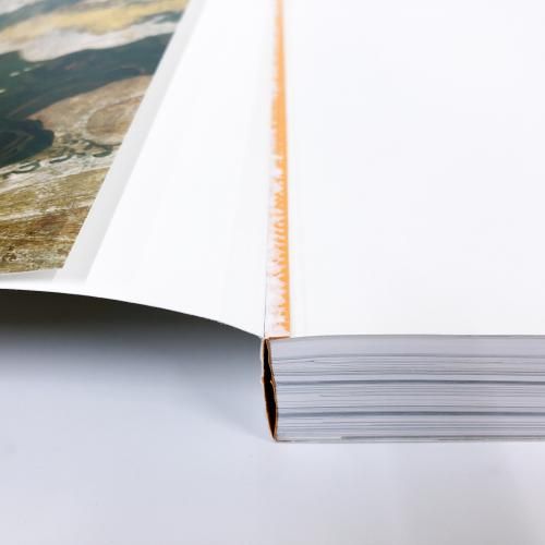 図録 特別展 やまと絵 受け継がれる王朝の美 - ノースブックセンター