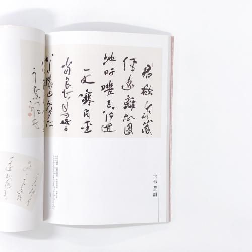 売れ筋アイテムラン 図録 第55回 ノースブックセンター - 現代書道二十人展 その他