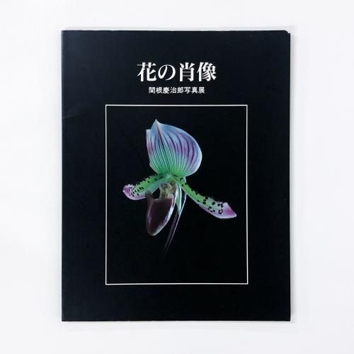 特集 植物 - ノースブックセンター