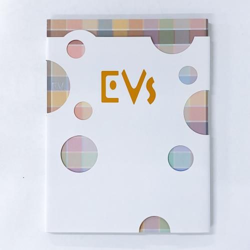 Evs֥