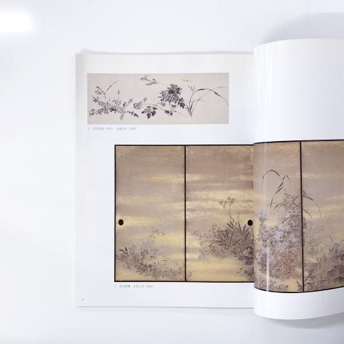 図録 特別展 南画家 山本梅逸 華麗なる花鳥・山水の風雅
