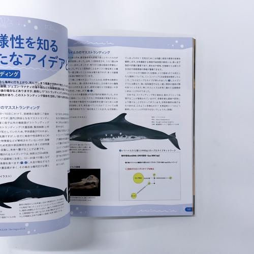 図録 特別展 海 生命のみなもと - ノースブックセンター