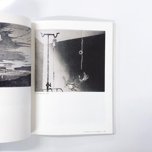 洋書◇世界の現代アート作品写真集 本 絵画 工芸 彫刻 | 洋書堂