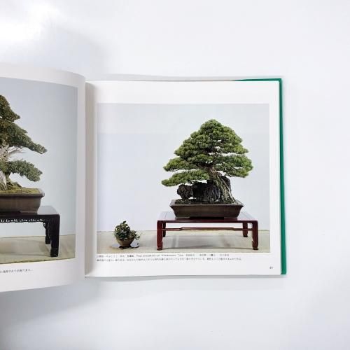 図録 第70回 国風盆栽展 - ノースブックセンター