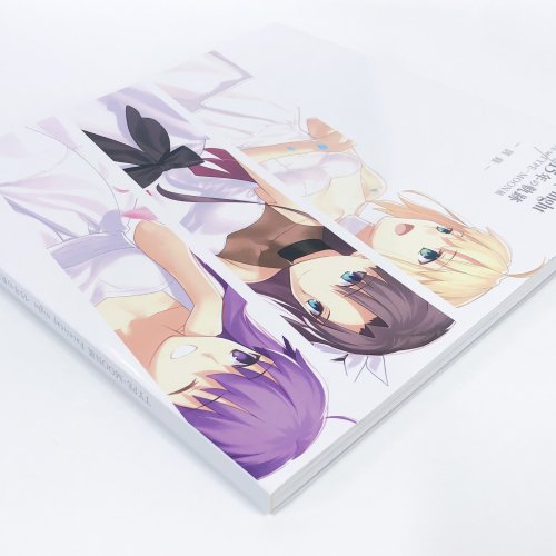 図録 TYPE MOON展 Fate stay night 15年の軌跡 - ノースブックセンター