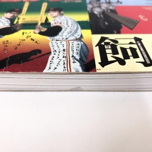 TADANORI YOKOO SELECTED POSTERS 116 横尾忠則