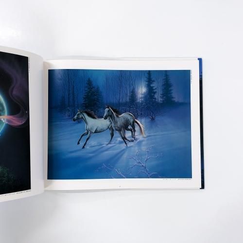 カーク | レイナート | オーロラ | ドリーム - ノースブックセンター