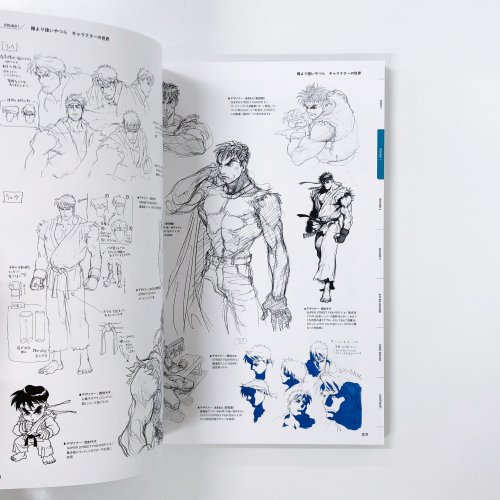 図録 STREET FIGHTER 俺より強いやつらの世界展