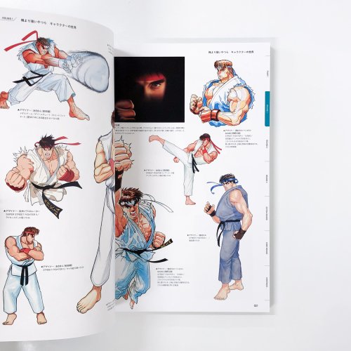 図録 STREET FIGHTER 俺より強いやつらの世界展