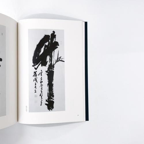 ◆新安海底引揚げ文物◆図録 古書 ◇新安海底引揚げ文物◇図録 古書 本