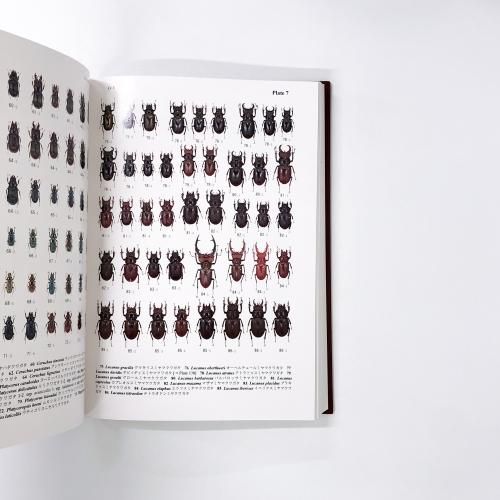 世界のクワガタムシ大図鑑 - ノースブックセンター販売 《カタログ数1